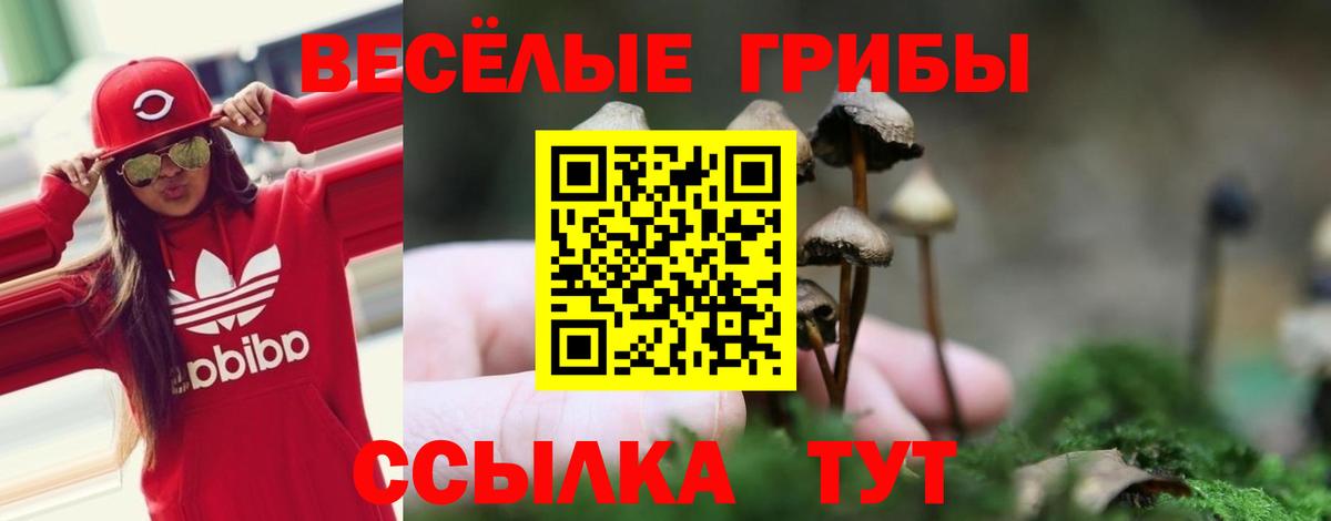 Псилоцибиновые грибы MAGIC MUSHROOMS  Вход с VPN  Орехово-Зуево  Псилоцибиновые грибы прущие грибы 